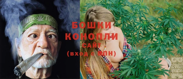 прущие грибы Алзамай