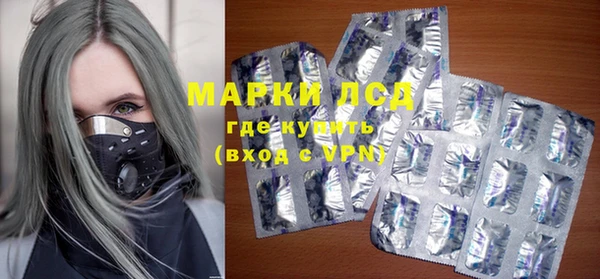 прущие грибы Алзамай