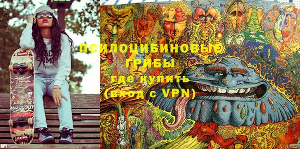 прущие грибы Алзамай