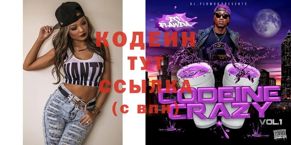 прущие грибы Алзамай