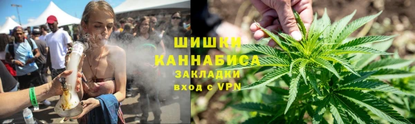 прущие грибы Алзамай