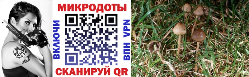 дарнет шоп Зарайск Галлюциногенные грибы мухоморы
